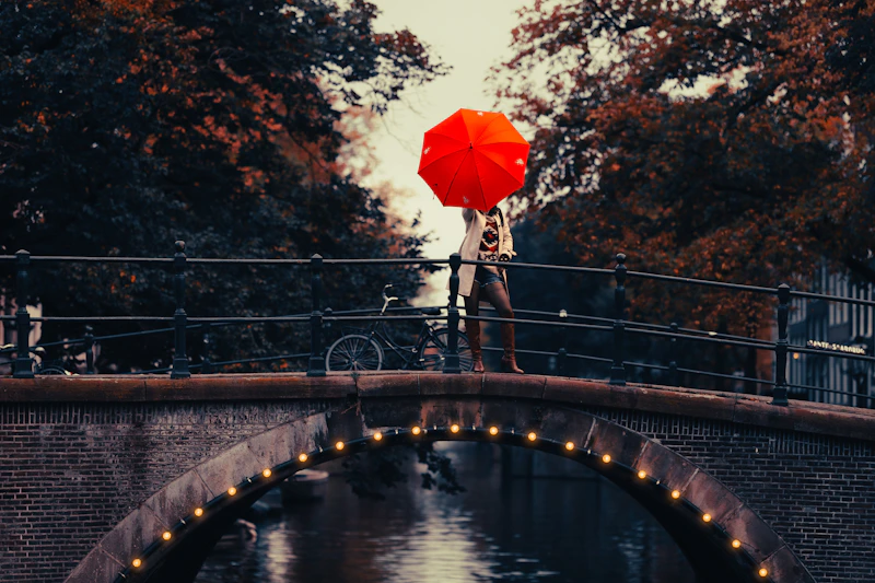 a person holding an umbrella over a bridge